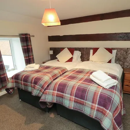 Honeysuckle פילי